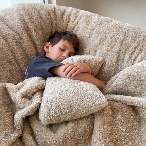 Pillow Cover ~ Biscotti Teddy